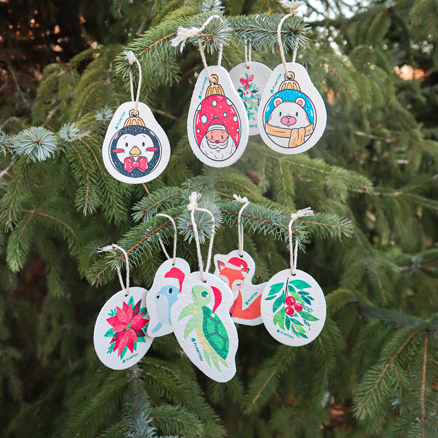 Solid Dish Soap Cake Sponge Bundle (Holiday Exclusive)